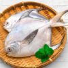 白鯧魚：圖片 2