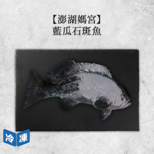 藍瓜石斑魚
